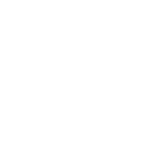 Icon Reinigung